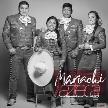 Mariachi 3 músicos para eventos