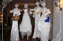 Zancudos para bodas y eventos