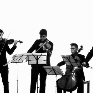 Boda - Cóctel 