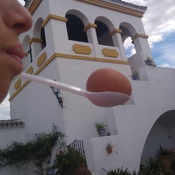 Gymkanas Cumpleaños