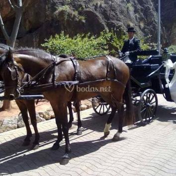 Carruajes de caballos - Pack Estandard