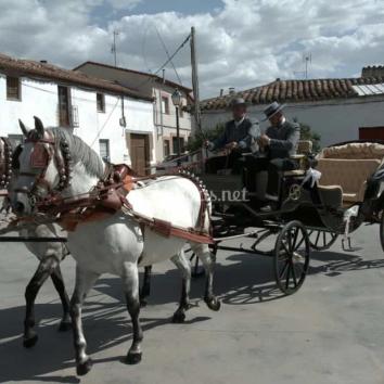 Carruajes de caballos - Pack Estandard Ávila
