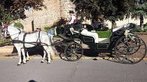 Carruajes de caballos - Pack estandard