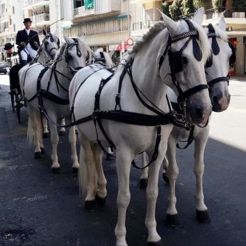 Carruajes con 4 caballos, cochero y 2 lacayos