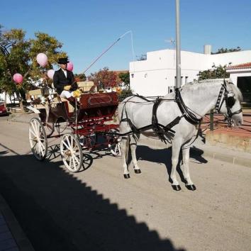 Carruaje con un caballo