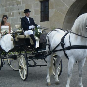 Carruaje con un caballo 