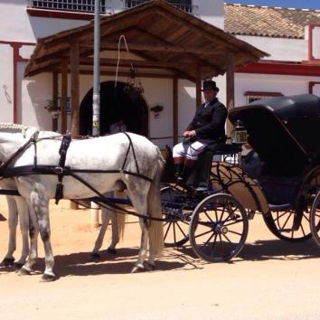 Carruaje duque victoria con dos caballos
