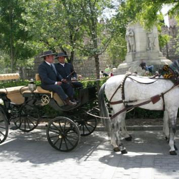 Carruaje Faeton ecijano con dos caballos