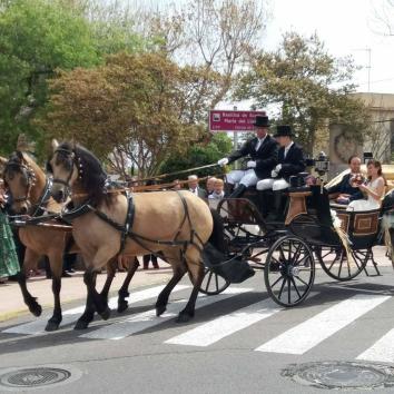 carruaje de caballos 
