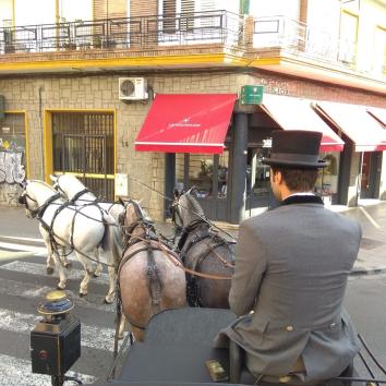 Carruaje de caballos 6 a la larga