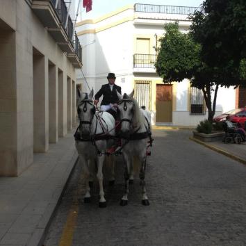 Carruaje carro grande hasta 10 plazas