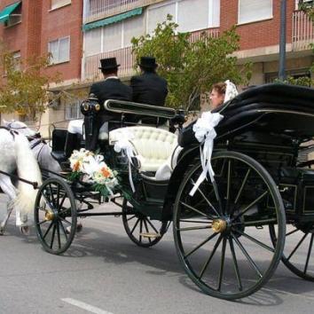 Carruajes de caballos en Salamanca