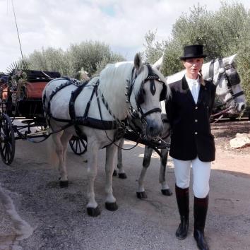 Carruaje de 2 caballos
