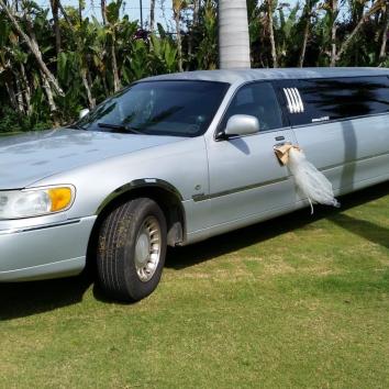 Lincoln Rosa 8 personas Rosa/Plata en MÁLAGA