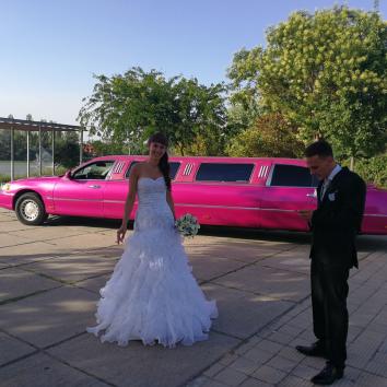 Limusina Lincoln Rosa 8 plazas 