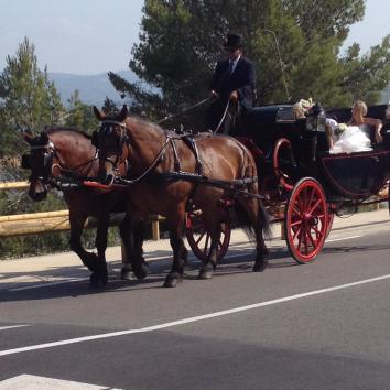 Carruaje con 4 caballos negro y rojo