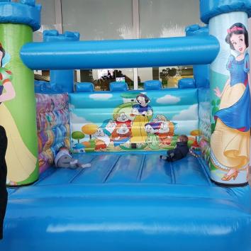Castillo Hinchable Princesas (Terrestre)