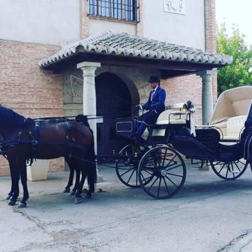 Carruaje de caballos para eventos
