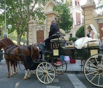 Alquiler de coche de caballo para bodas