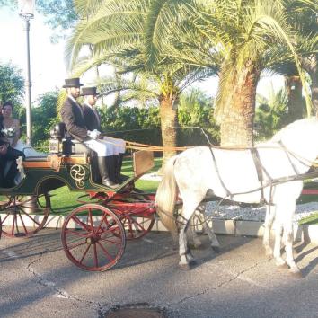 Faeton con 2 caballos