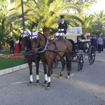 Carruaje modelo Piter con dos caballos