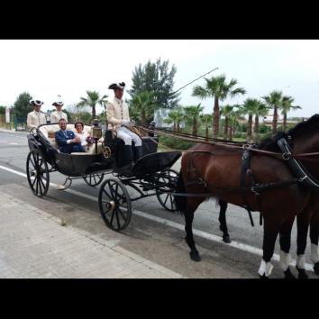 Carruaje estilo carretela con 2 caballos
