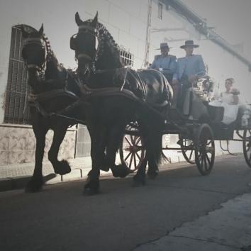 Carruaje de caballos para romerias 