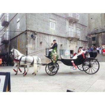 Carruaje con 2 caballos blancos 