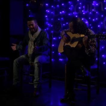 Dueto de flamenco con percusionista