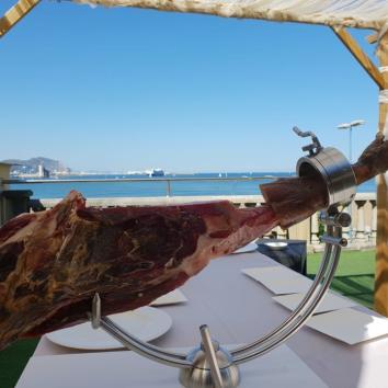 Servicio de corte + Jamón 100% ibérico puro