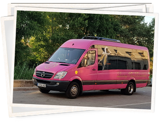 Limobus Rosa 16 plazas
