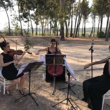Trío de cuerda: dos violines y un violonchelo para ceremonia civil o religiosa