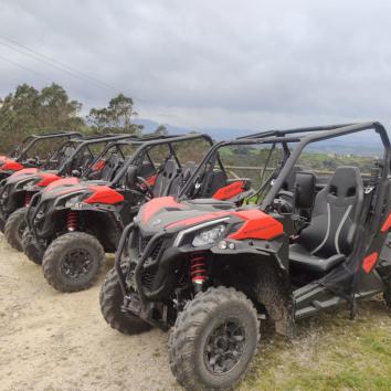 Ruta Buggys durante 1h