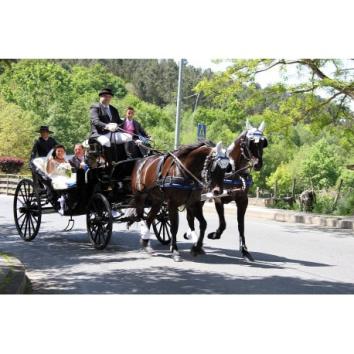 Carruaje con dos caballos negros 
