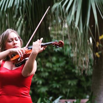 Amenización con violín