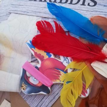 Amimación infantil pirata