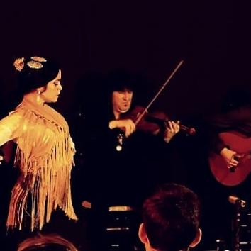 Flamenco variación musical