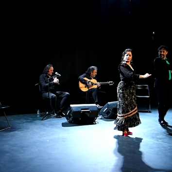 FLAMENCO CUADRO PAREJA BAILE