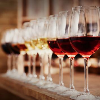 Cata de vinos