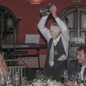Actuación de 1 hora violinista para Eventos