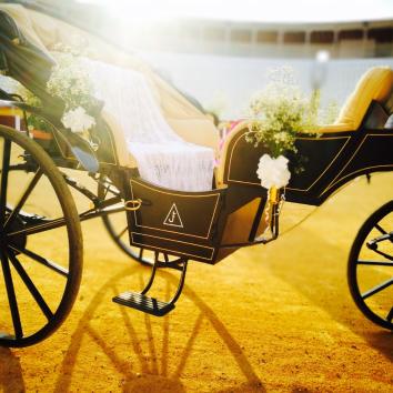  Carruaje para Bodas y todo tipo de celebraciones 