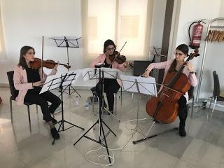 Trío de cuerda: dos violines y violonchelo para eventos empresa/celebración/jubilación/funeral, etc.