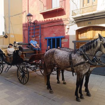 Imagen 5 de Carruajes De Caballos