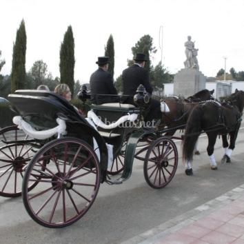 Imagen 1 de Carruajes Truyols