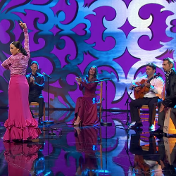Flamenco Pura Sangre