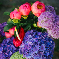 Carolina Bouquet
