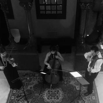 Imagen 4 de Moana Strings