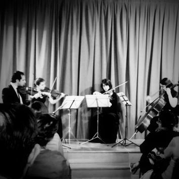 Imagen 3 de Moana Strings
