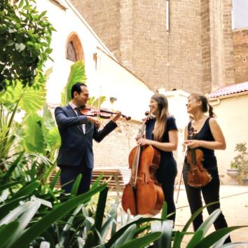 Imagen 2 de Moana Strings
