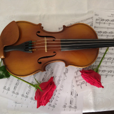 Ensemble Butterfly